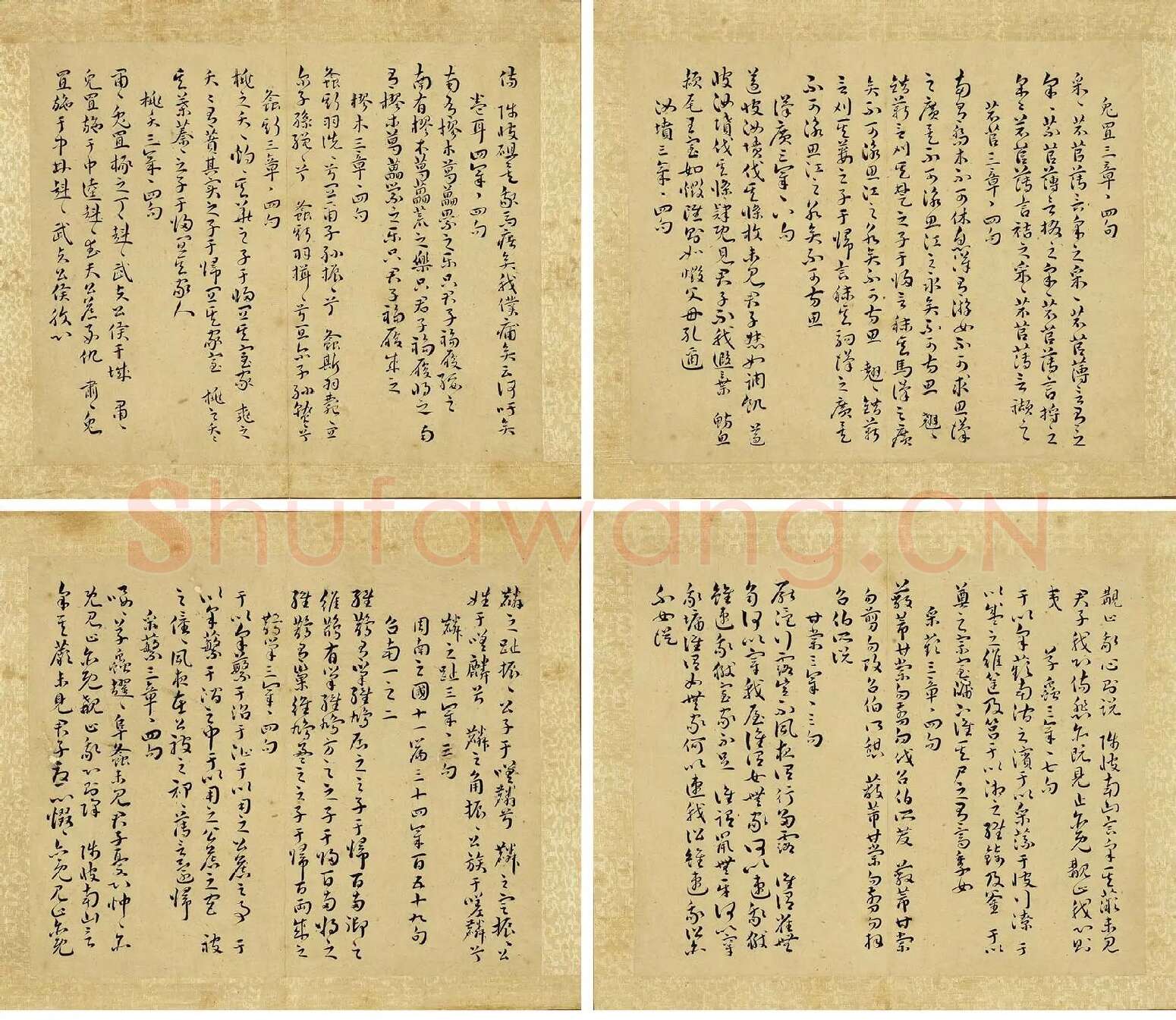 王宠真草书《书诗》册_02