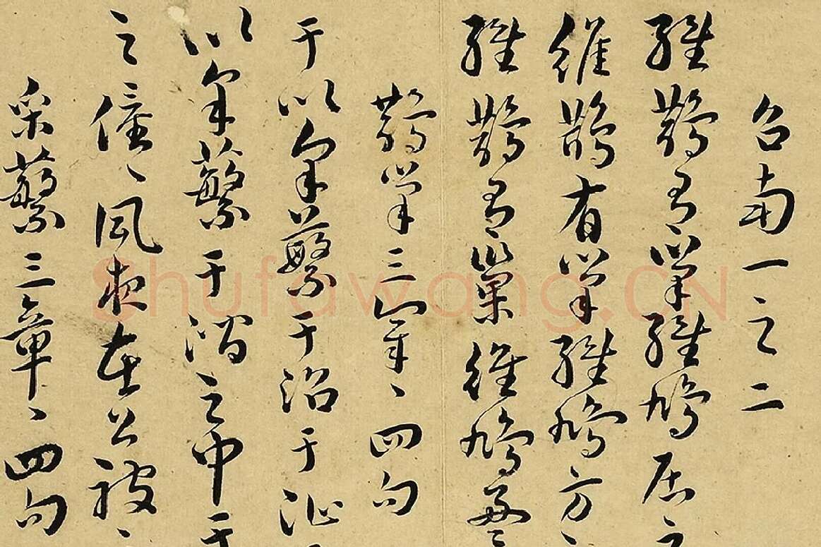 王宠真草书《书诗经二南古诗十九首》局部 (4)