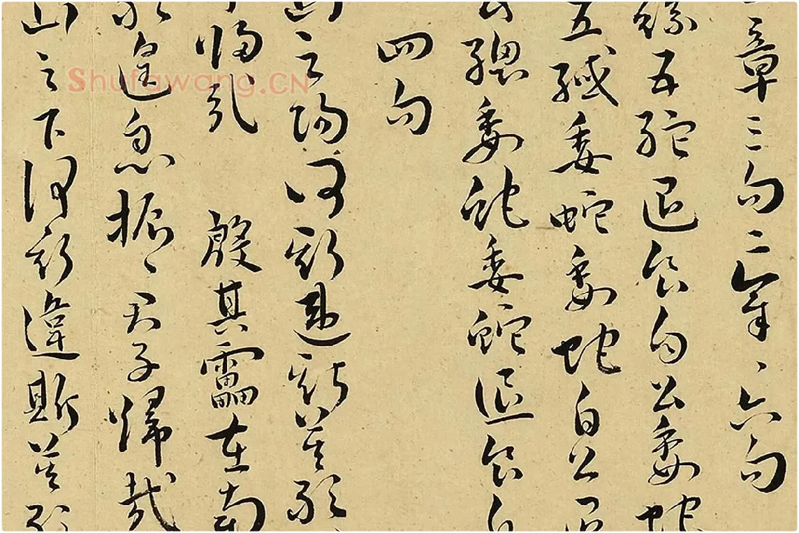 王宠真草书《书诗经二南古诗十九首》局部 (6)