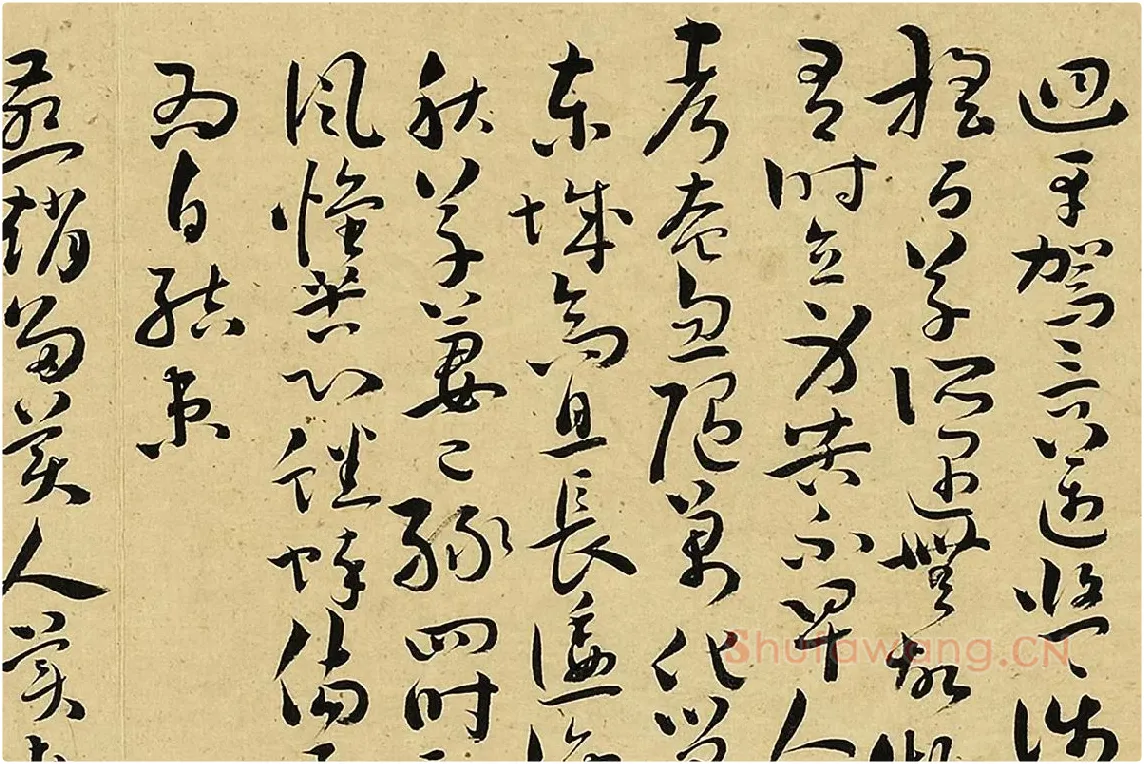 王宠真草书《书诗经二南古诗十九首》局部 (11)