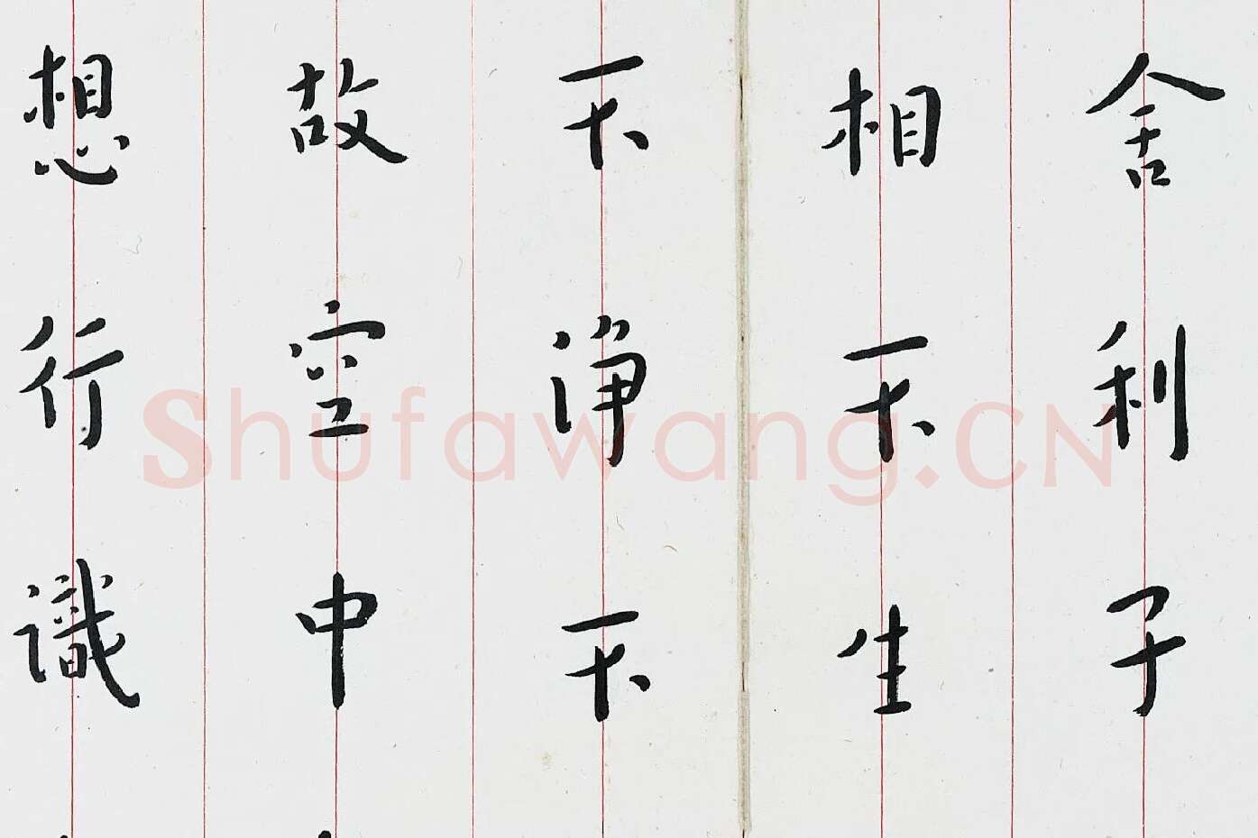 弘一法师楷书《心经》局部 (4)