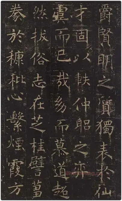 褚遂良楷书《孟法师碑》 (19)