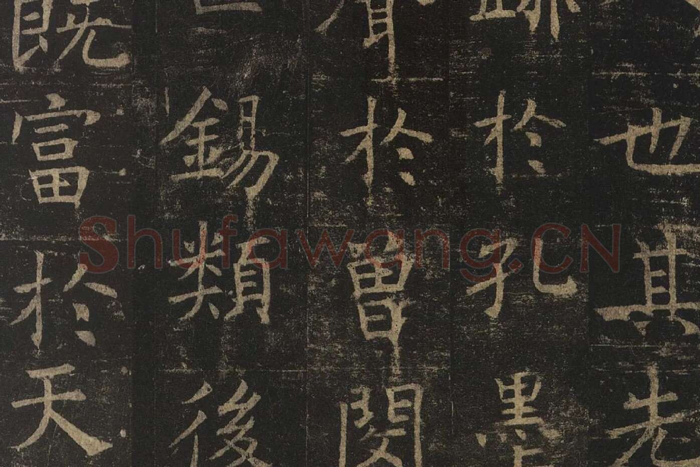 褚遂良楷书《孟法师碑》局部 (5)