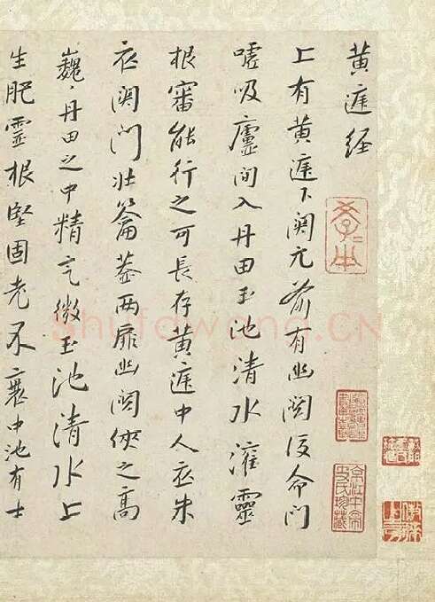 朱耷小行楷黄庭经_15