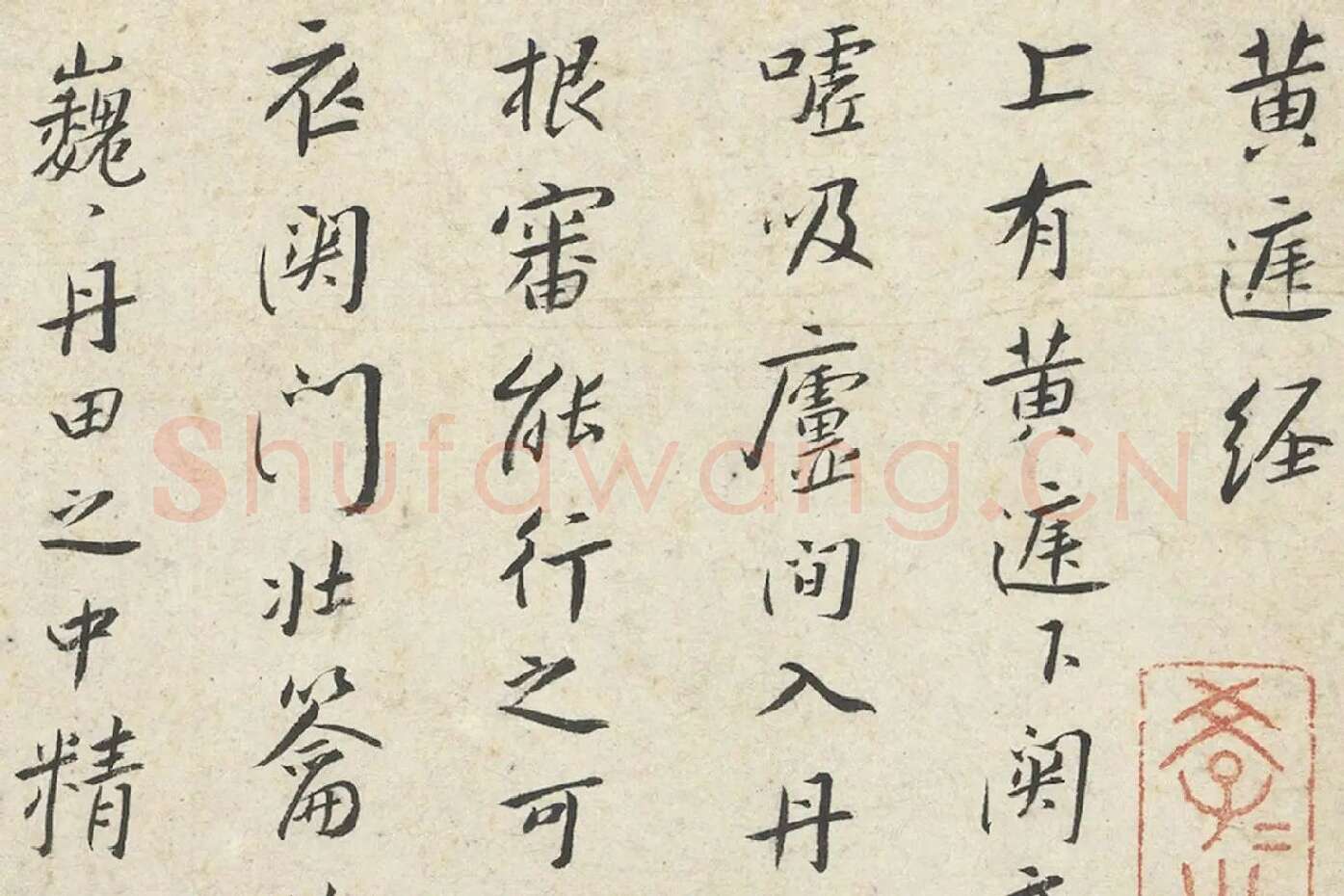 朱耷小行楷黄庭经册局部 (1)