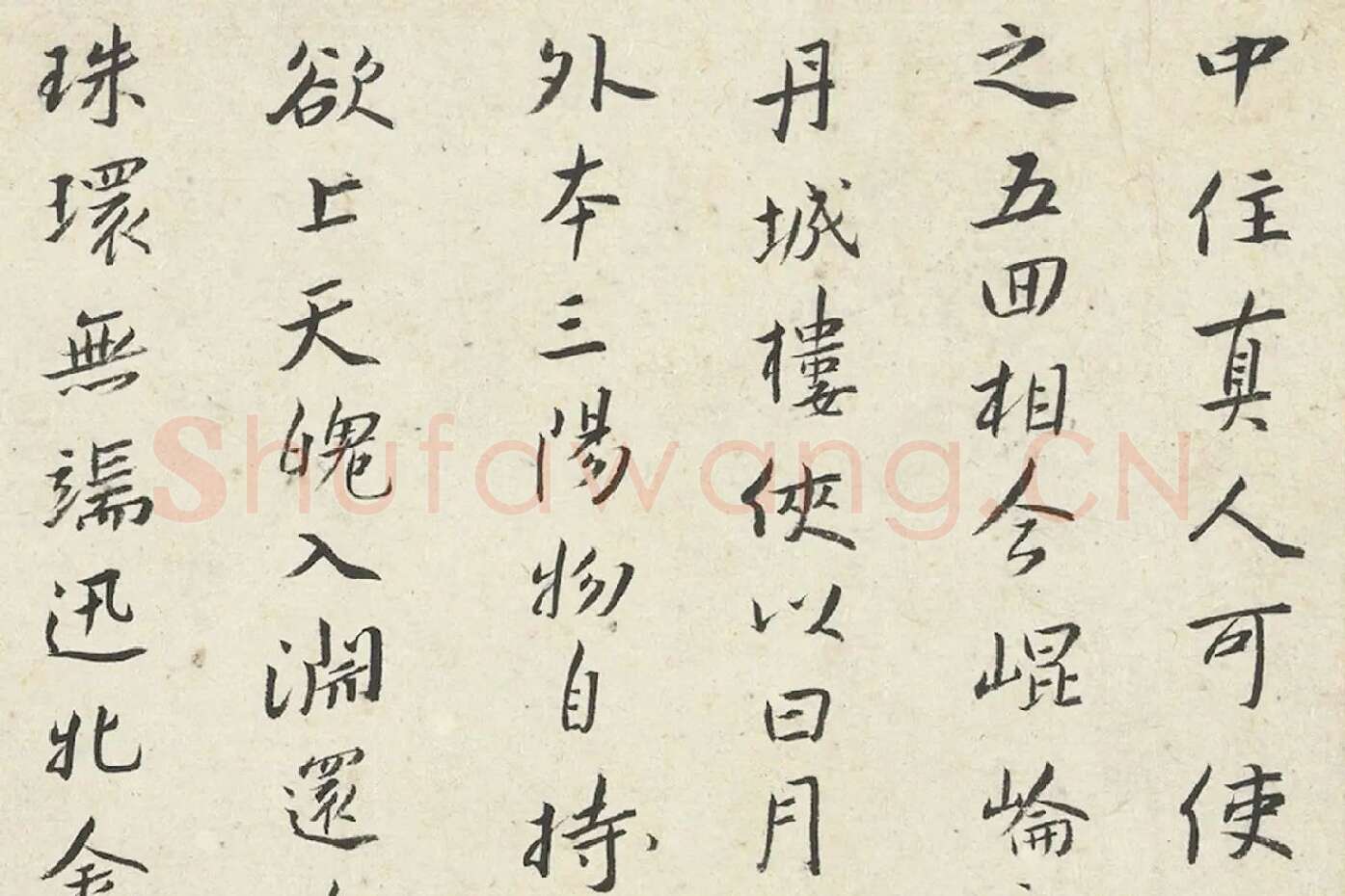 朱耷小行楷黄庭经册局部 (4)
