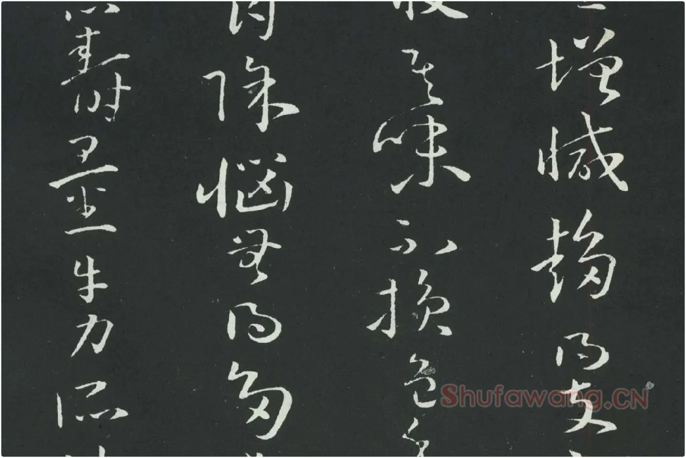 孙过庭草书《佛遗教经》墨拓局部 (9)