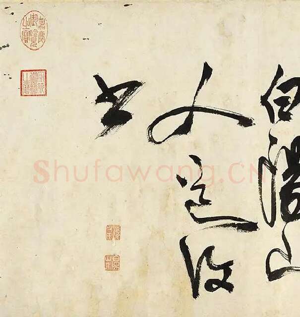 陈淳草书《书秋兴诗》卷_01