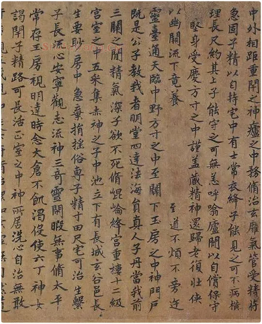 唐摹黄庭经全卷_13