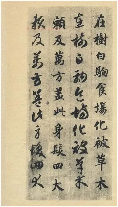 智永《真草千字文》墨迹本_24