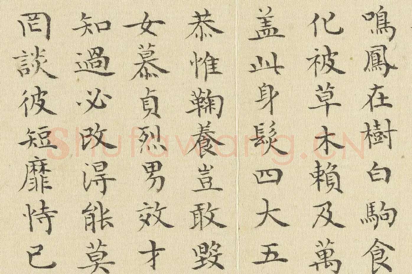 陈邦彦临《智永楷书千文》局部 (3)