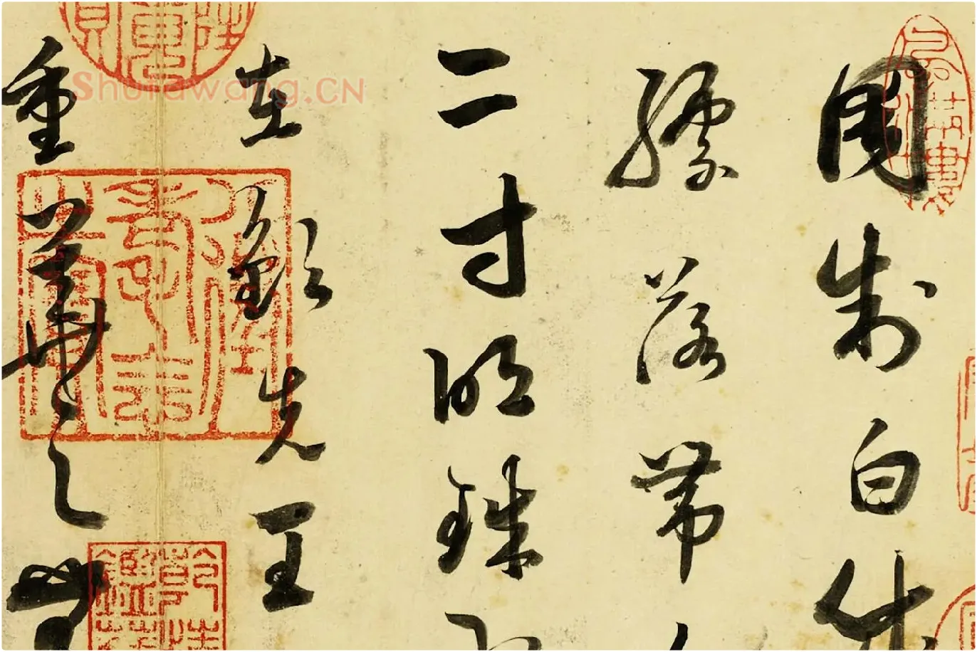 清·张照《临唐孙过庭帖》局部 (1)