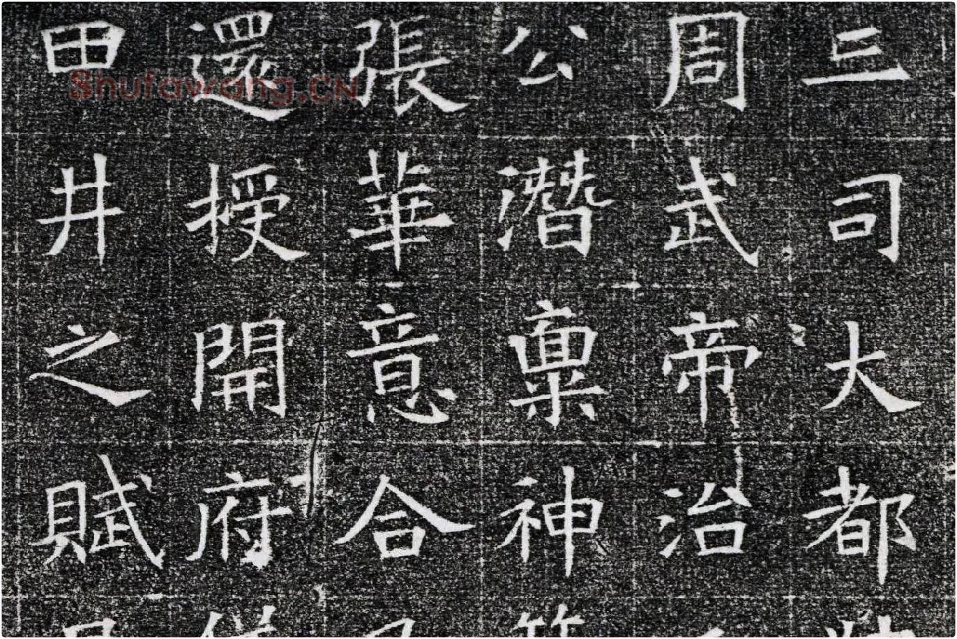 隋代楷书《苏慈墓志铭》局部 (4)