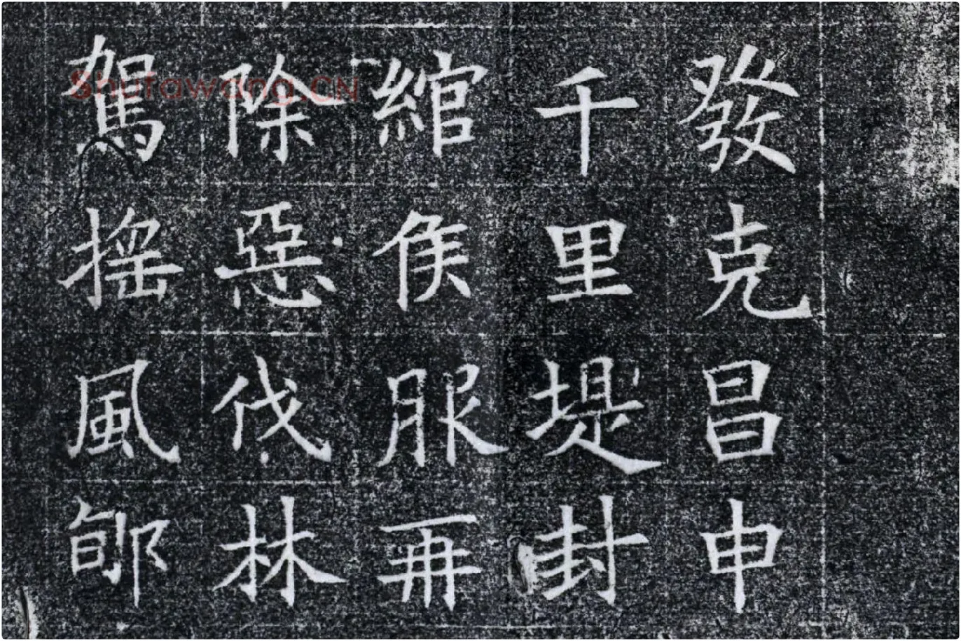隋代楷书《苏慈墓志铭》局部 (9)
