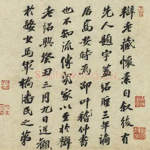 苏迟行书《题跋怀素自叙帖》