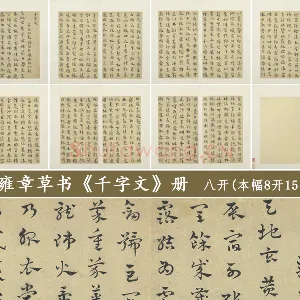 赵雍章草书《千字文》册