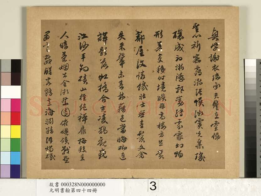 陈沂《行书诗帖、跋刁光“丛篁集羽图”》