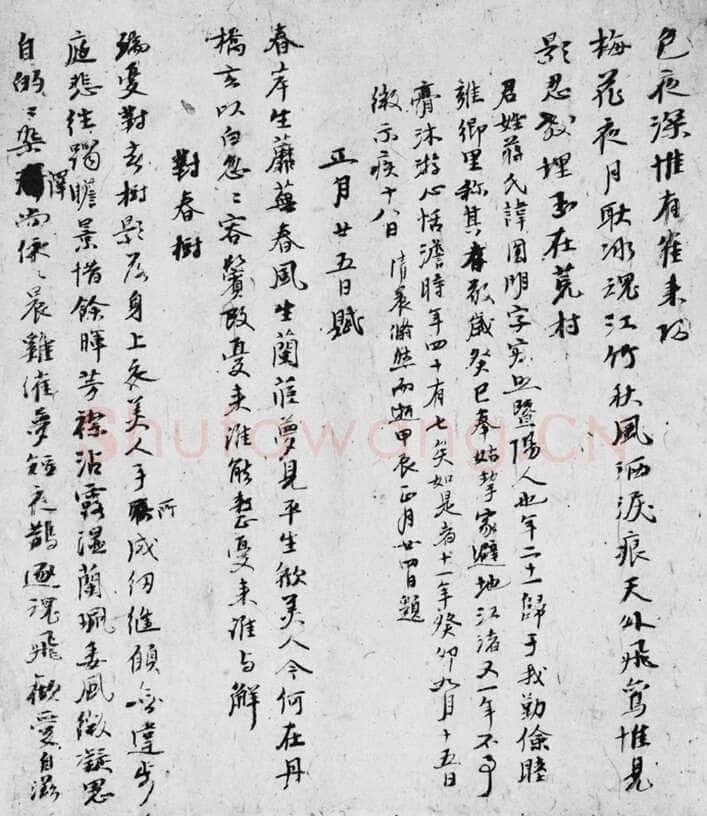 倪瓒自书述怀诗稿册