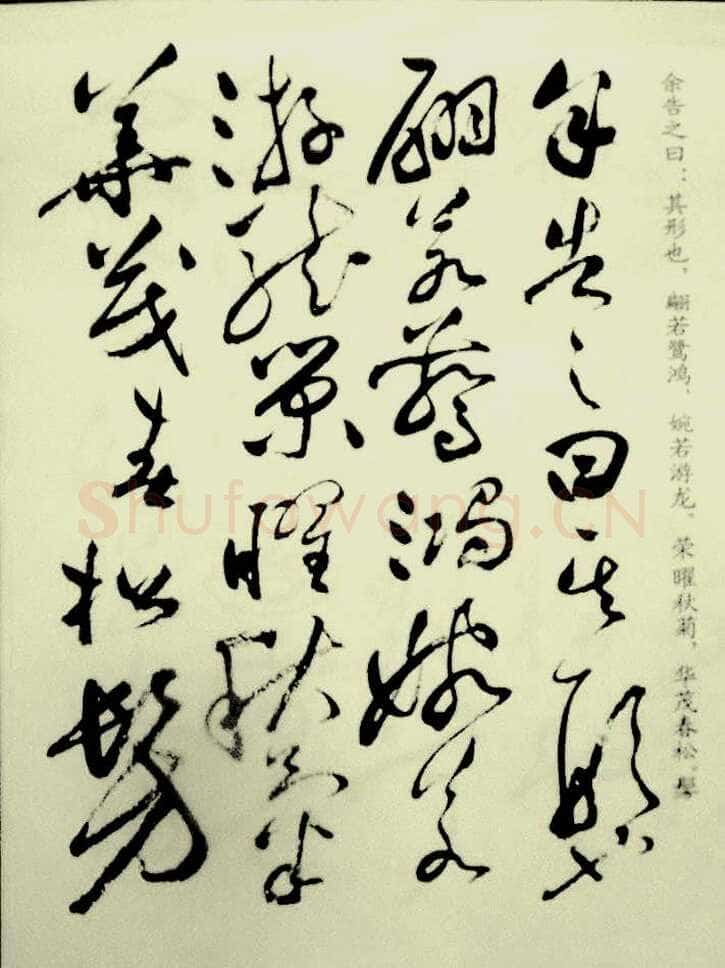 祝允明《草书洛神赋》