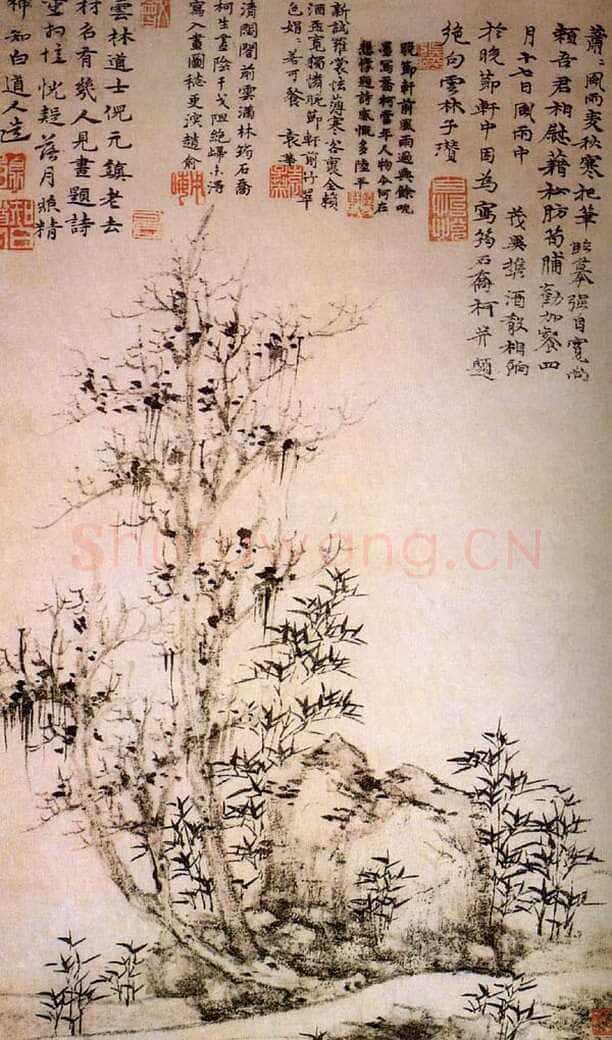 倪瓒题筠石乔柯图