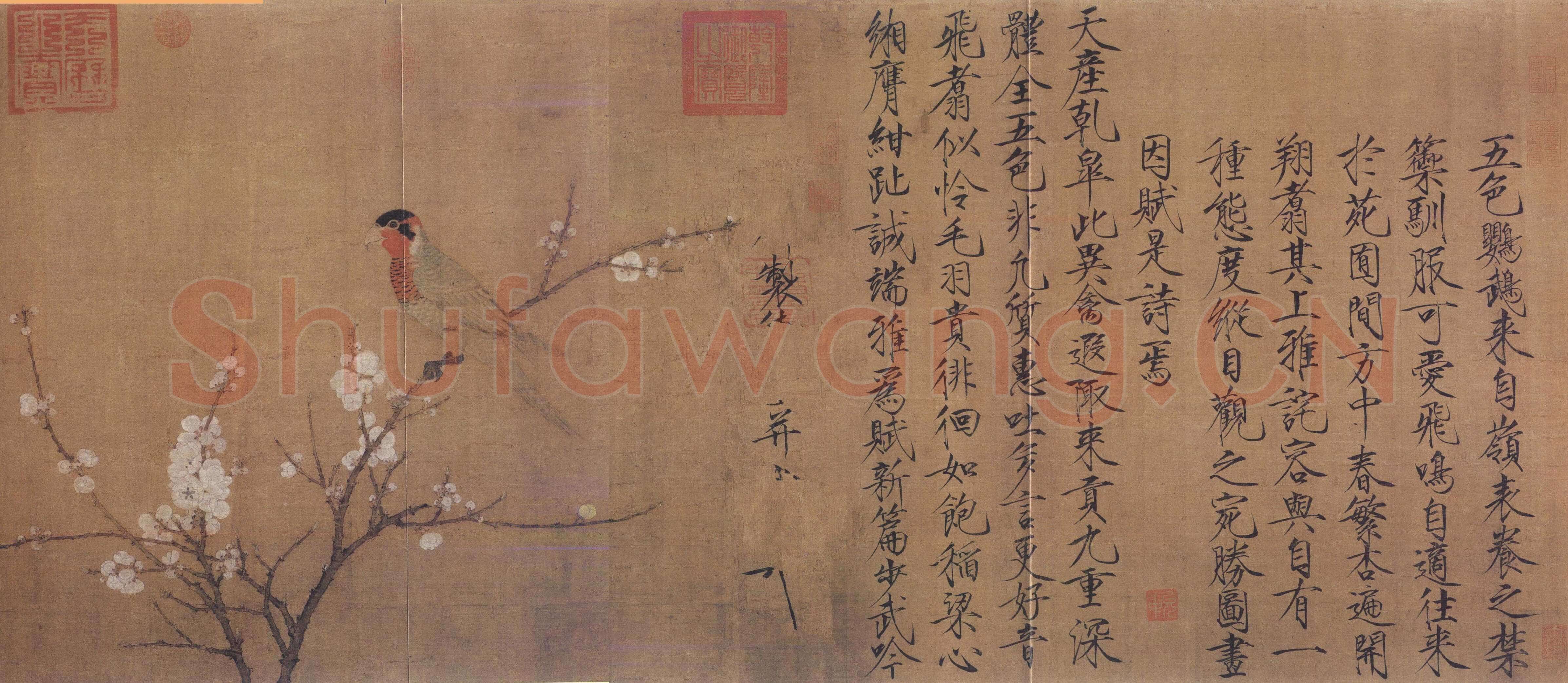 赵佶《五色鹦鹉图》绢本设色 53.3×125.1cm 美国波士顿艺术博物馆藏