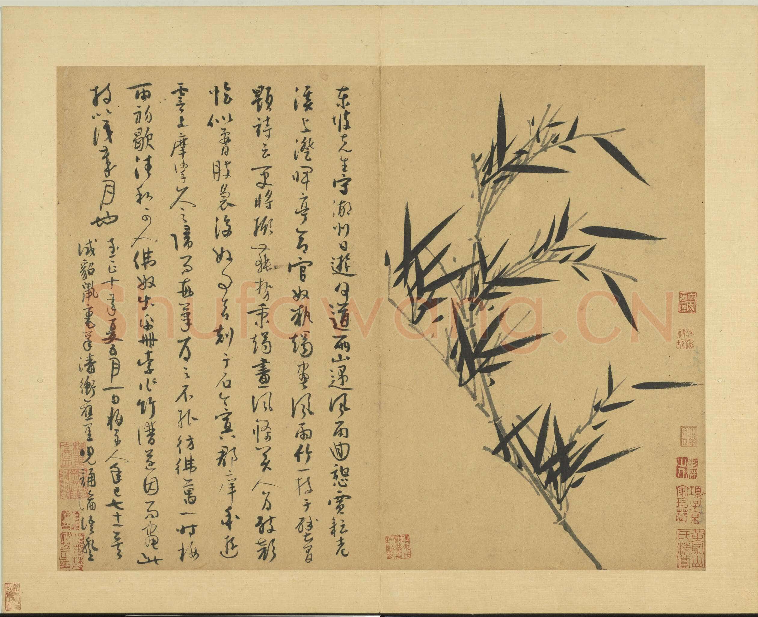 吴镇《墨竹谱》册 纸本 每页纵40.3厘米,横52厘米 二十二页 台北故宫博物院藏