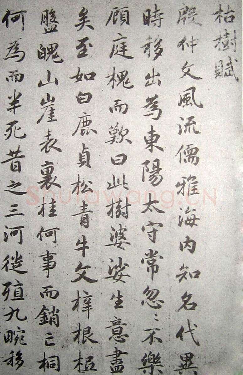 赵孟頫《临褚遂良枯树赋》纸本 行书 资料不详