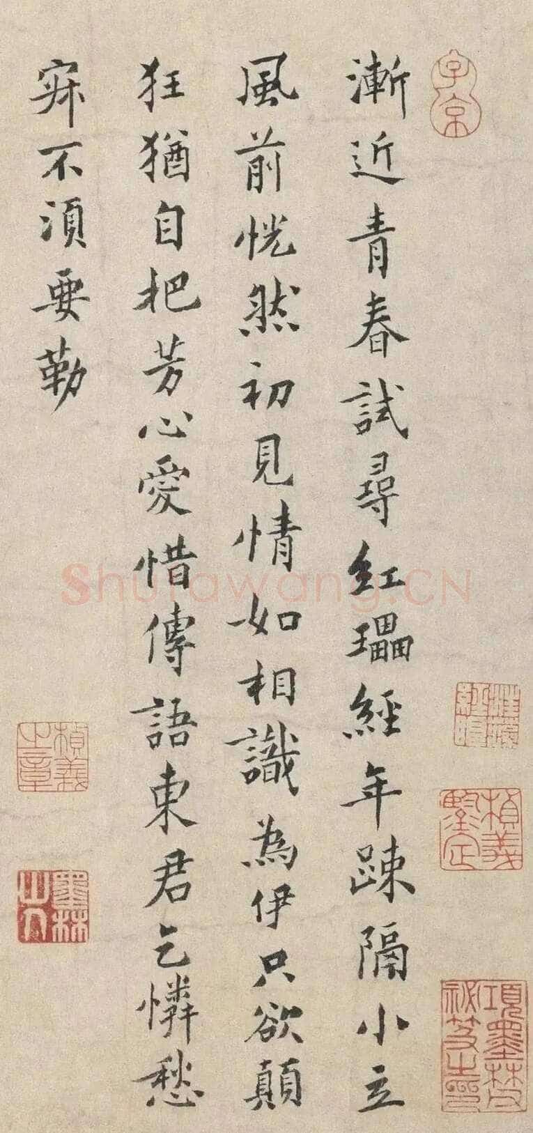 扬无咎《四梅花图卷、行书跋雪梅图卷》