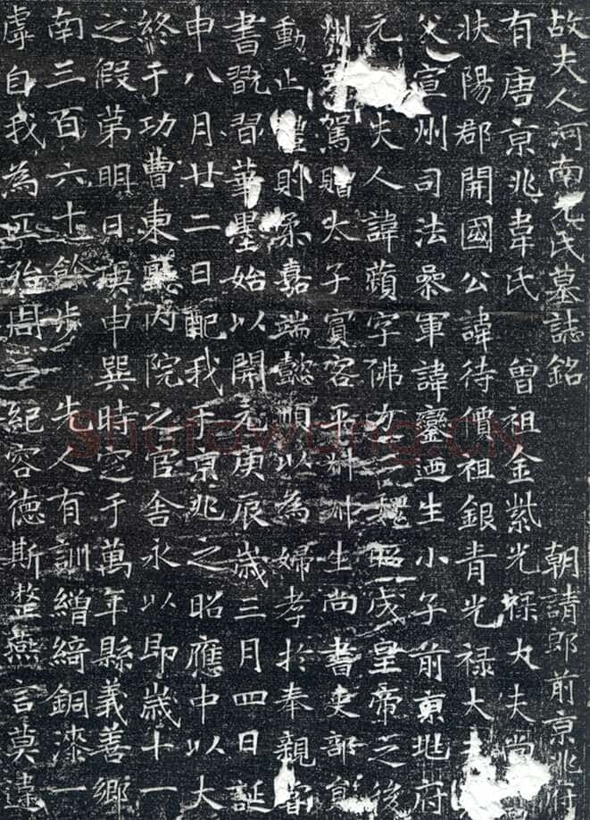 韦应物《元苹墓志》