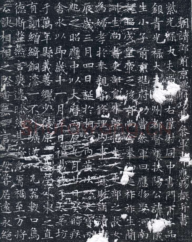 韦应物《元苹墓志》