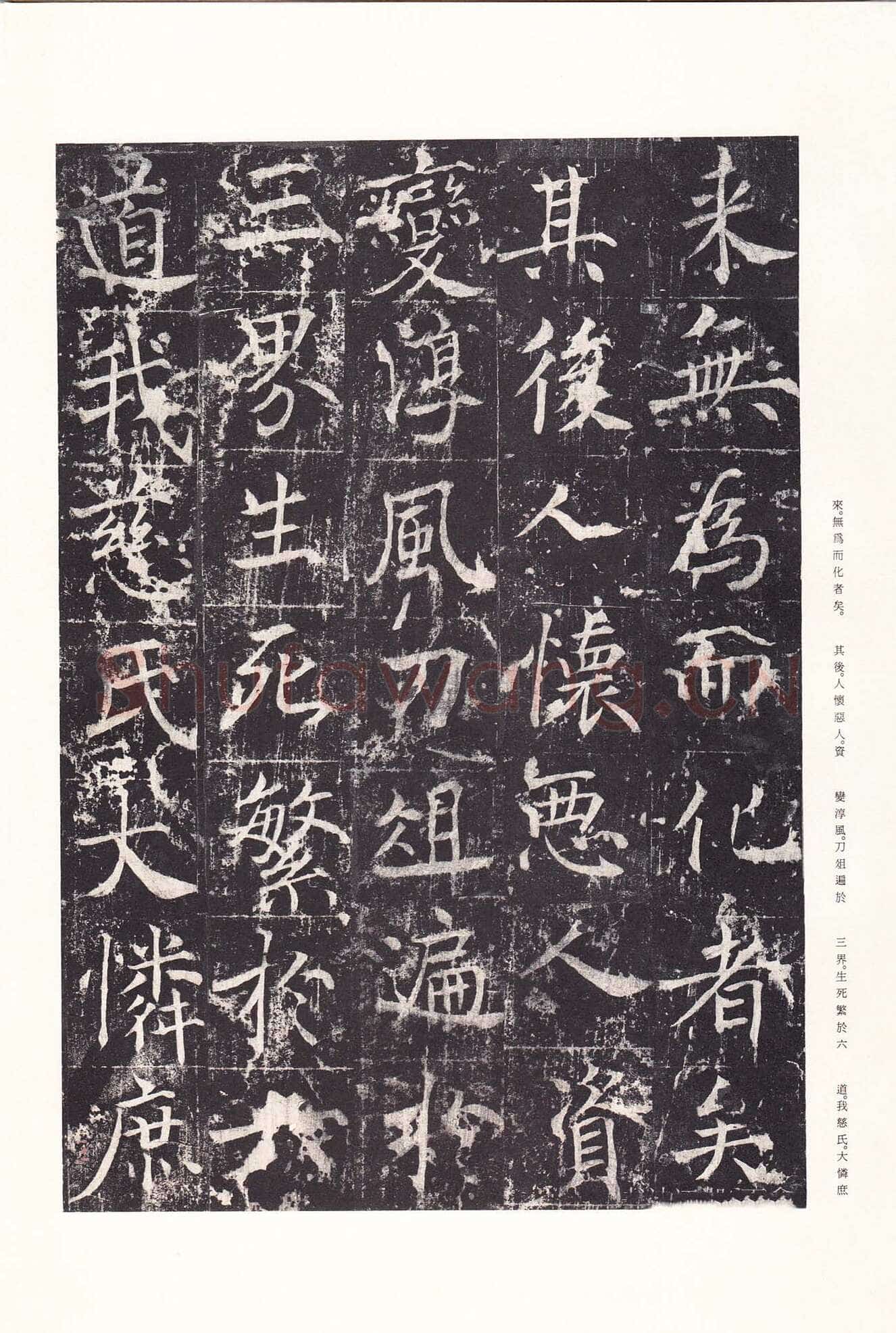 魏栖梧《善才寺碑》