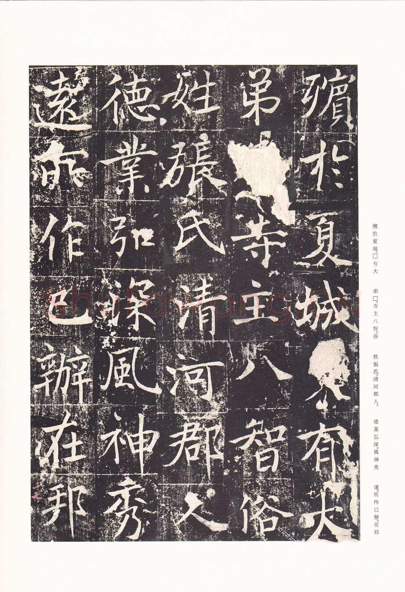 魏栖梧《善才寺碑》