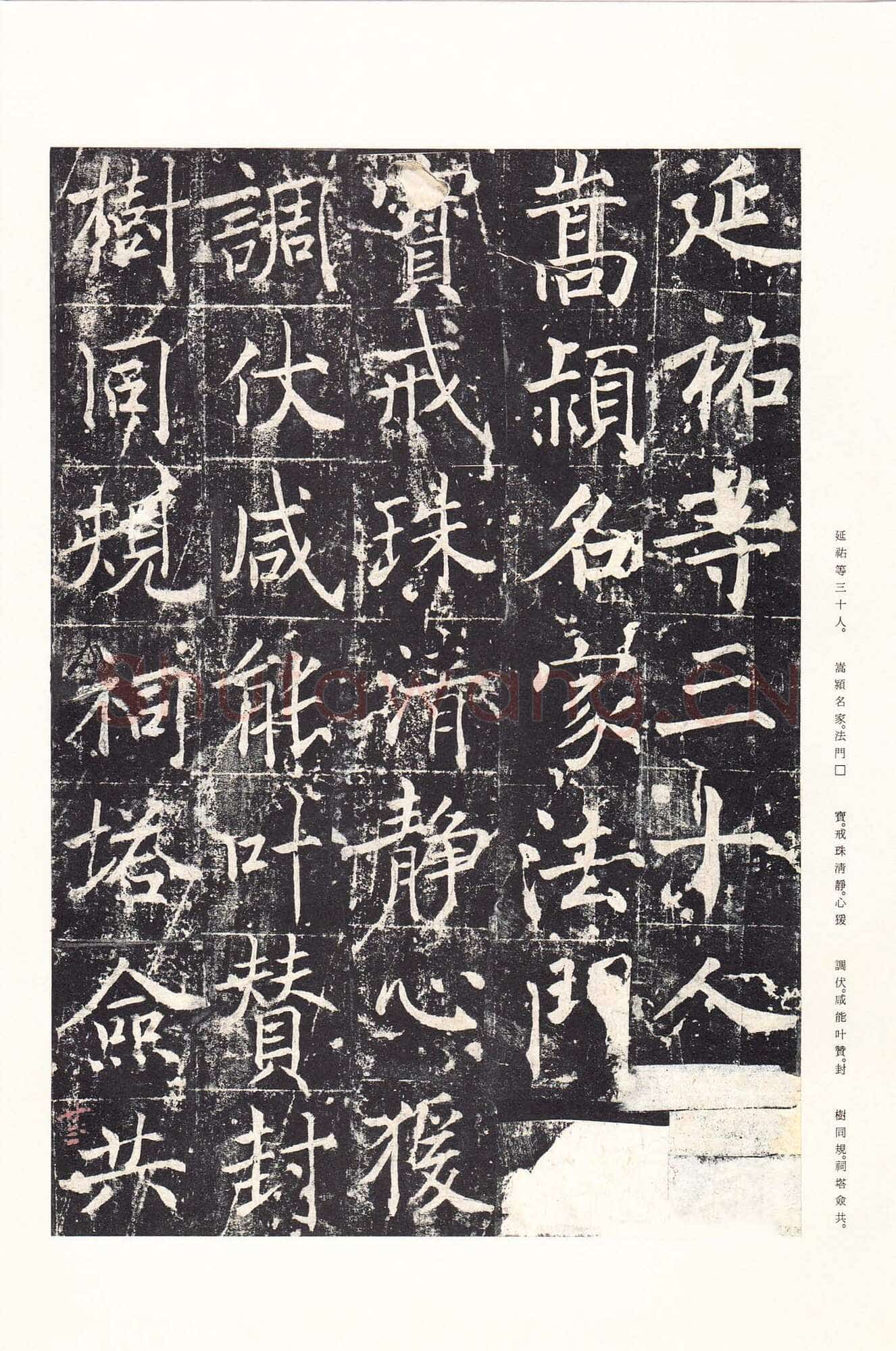 魏栖梧《善才寺碑》