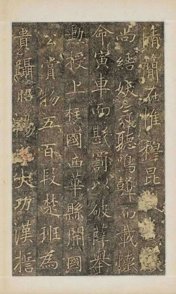 樊兴碑此碑又名《樊府君碑》,摘自唐朝樊兴碑