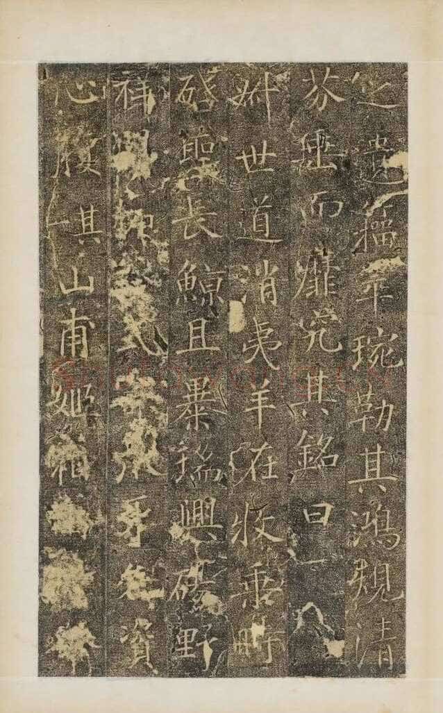 樊兴碑此碑又名《樊府君碑》,摘自唐朝樊兴碑