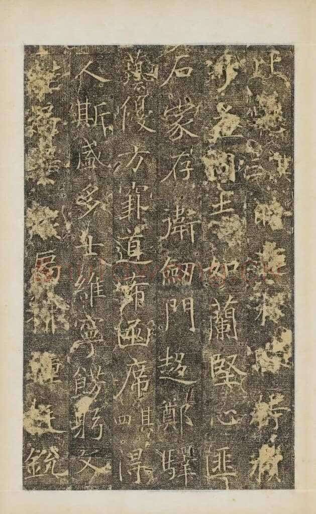 樊兴碑此碑又名《樊府君碑》,摘自唐朝樊兴碑