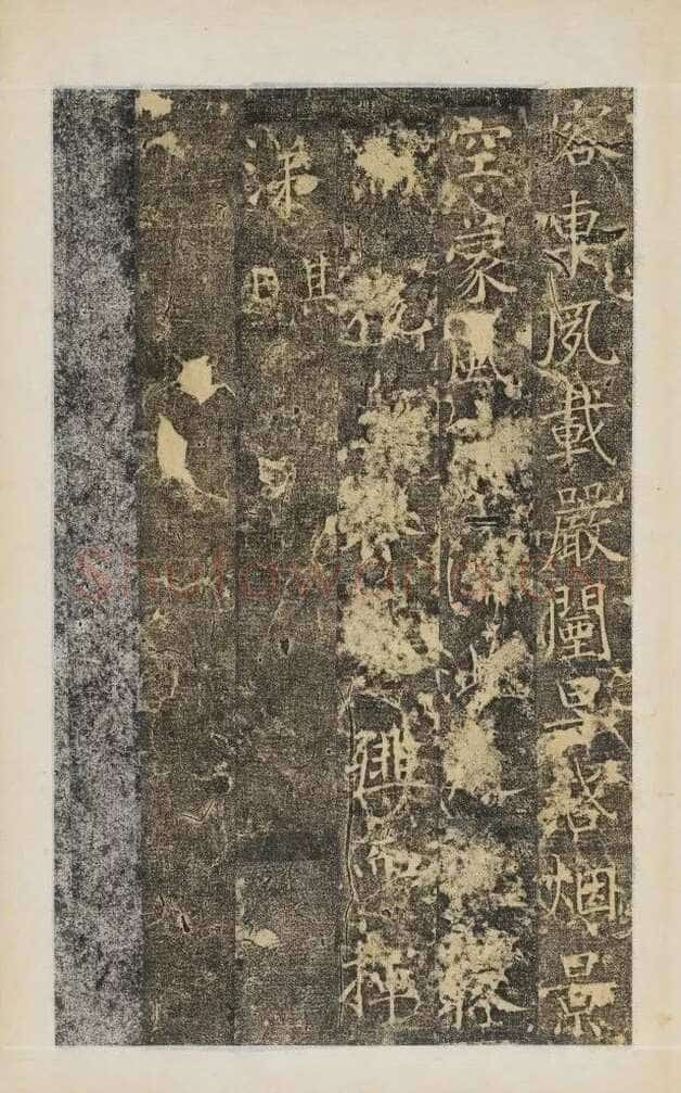 樊兴碑此碑又名《樊府君碑》,摘自唐朝樊兴碑