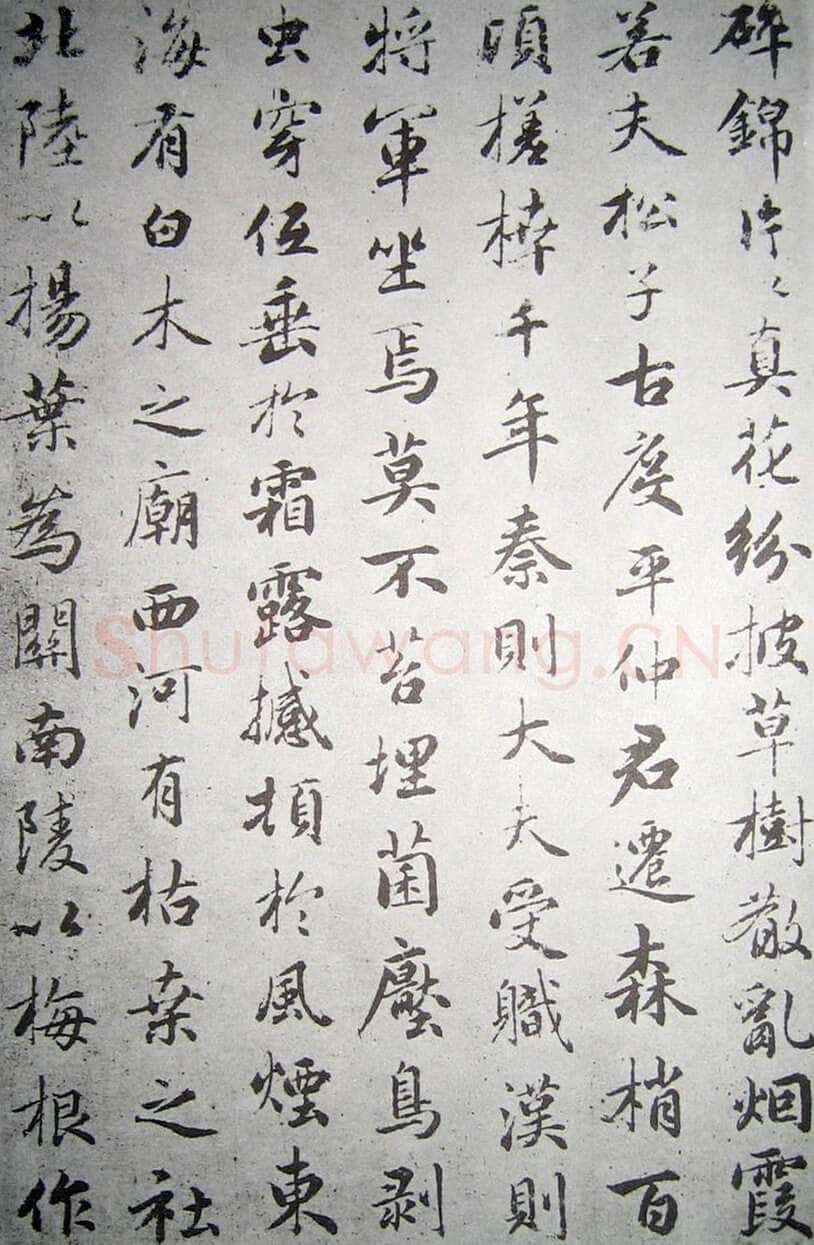 赵孟頫《临褚遂良枯树赋》纸本 行书 资料不详