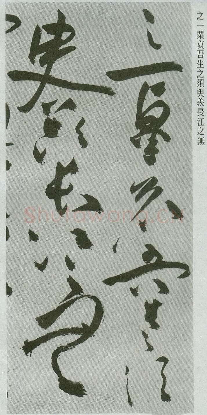祝允明《草书前后赤壁赋卷》纸本草书 31.1×1001.7cm 上海博物馆藏