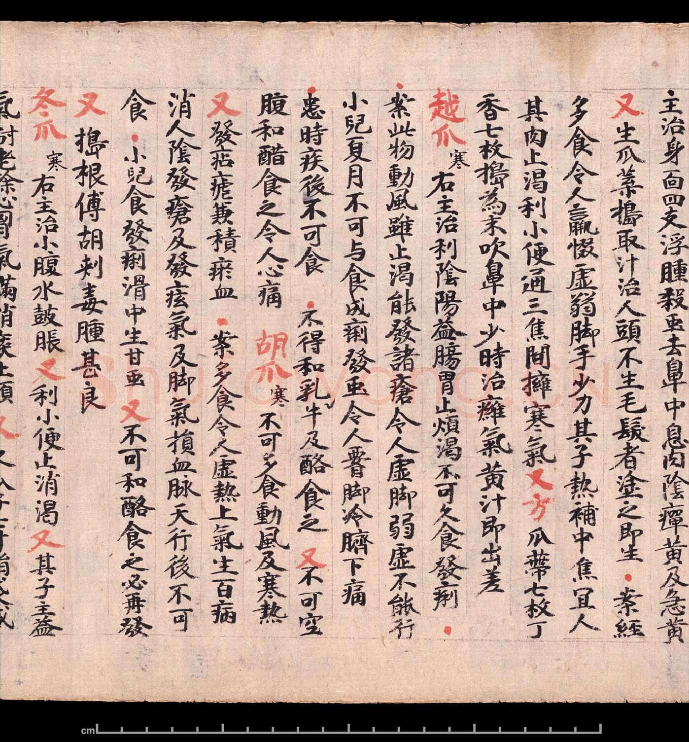 敦煌书法敦煌书法作品,摘自东晋至北宋食疗本草