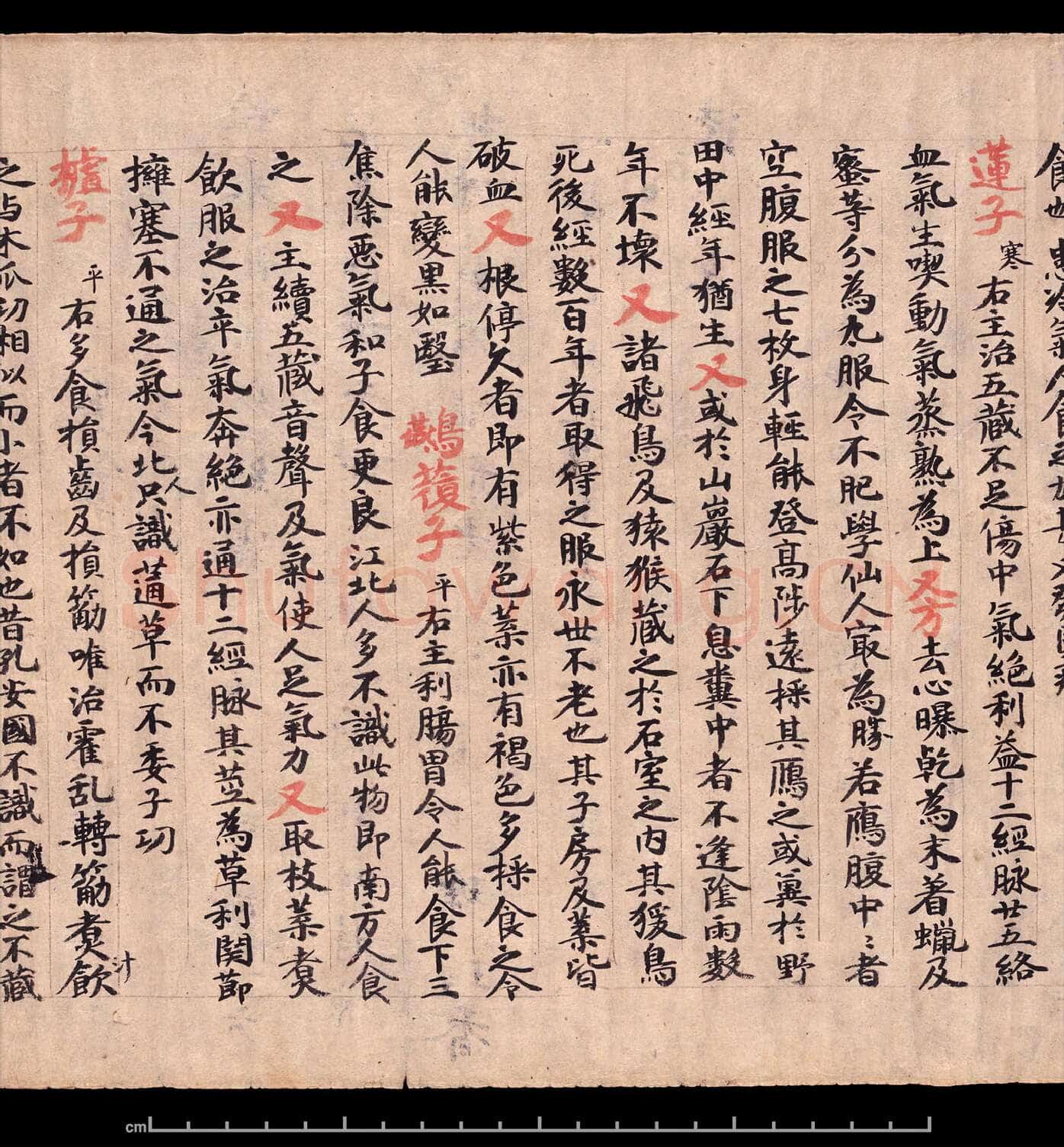 敦煌书法敦煌书法作品,摘自东晋至北宋食疗本草