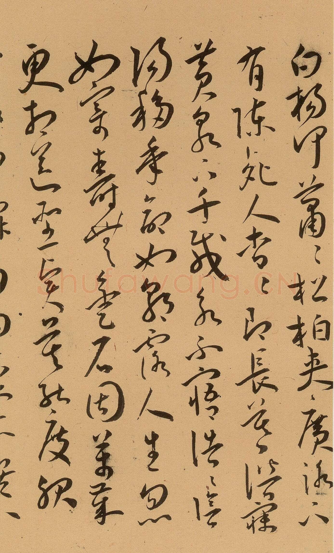 王宠《草书古诗十九首卷》纸本 草书 29.3×380.1cm 上海博物馆藏