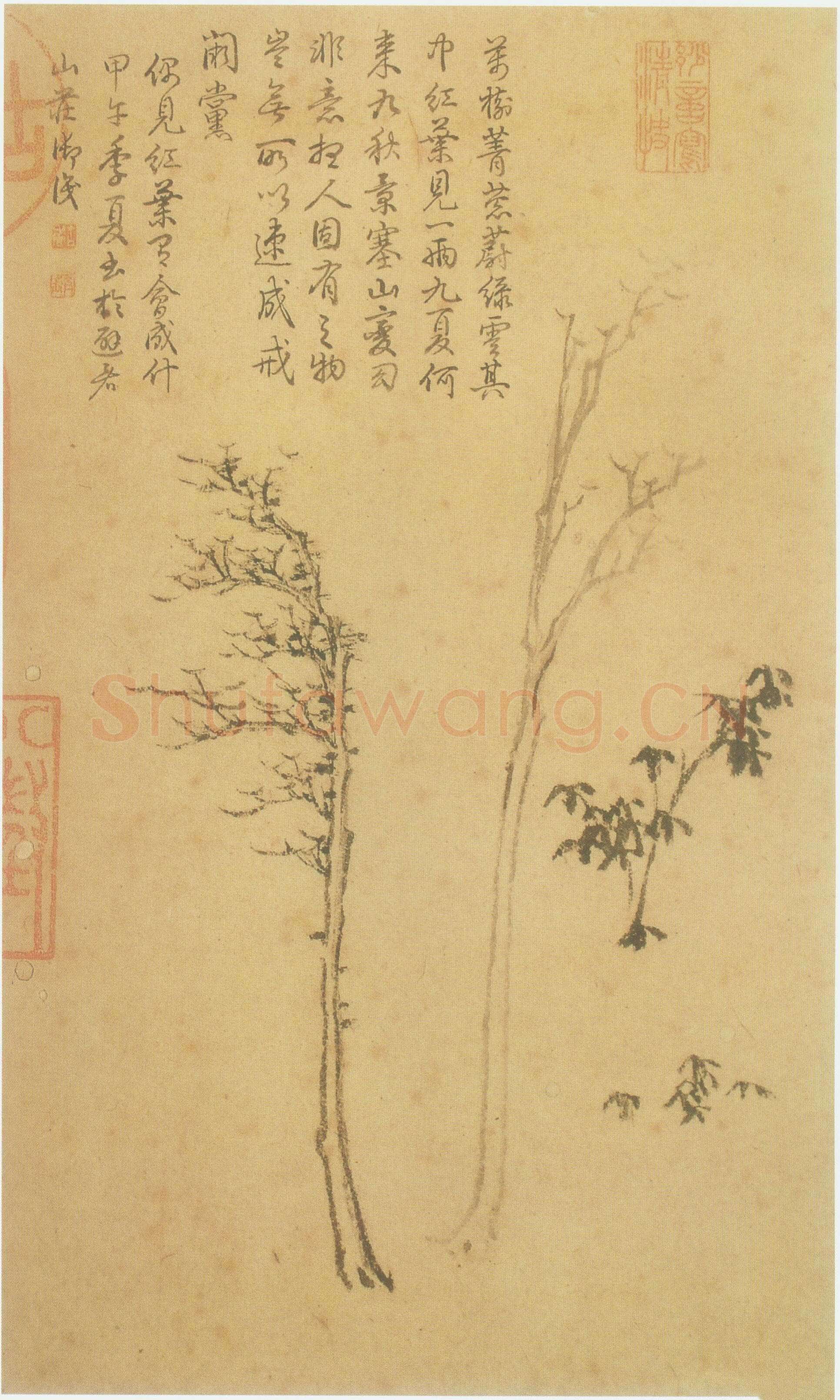 倪瓒云林画谱册