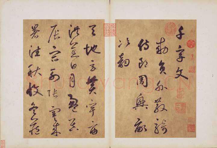 边武《草书千字文册》(选页)纸本草书 34.4×23.5cm×35 台北故宫博物院藏