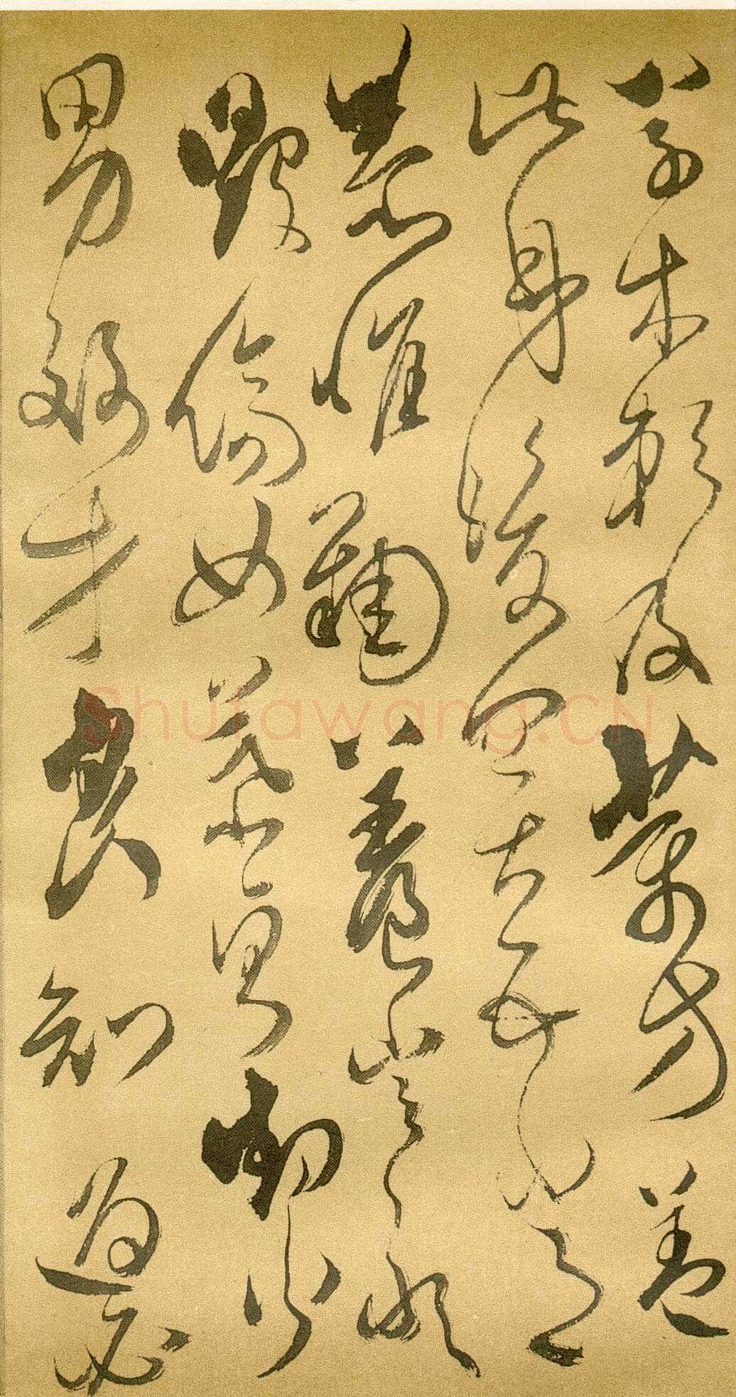 傅山《草书千字文》册 共12页 纸本 24.5×13cm 山西省博物院藏