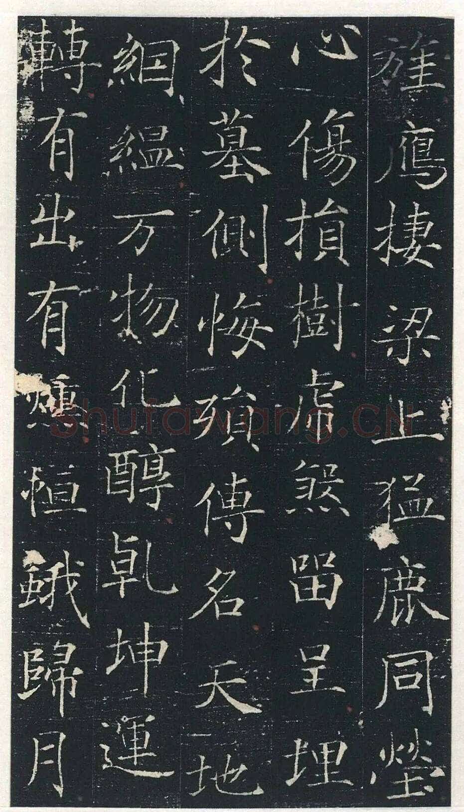 马府君夫人墓志铭