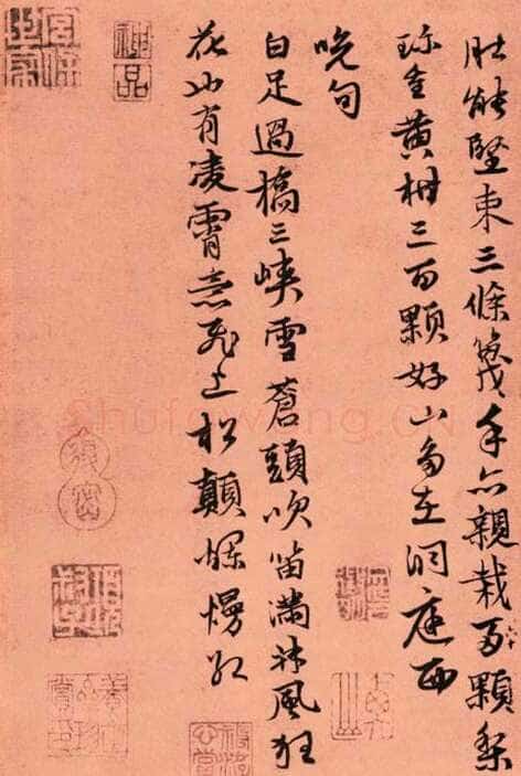 张雨《自书杂诗册》粉花笺 23.7×15.3cm 至正五年(1345)上海博物馆藏