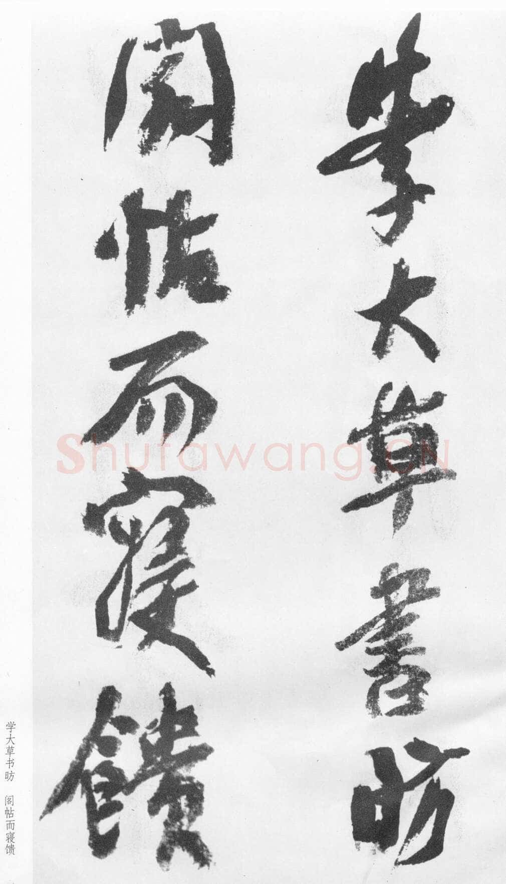 蒲华《跋张旭率意帖》