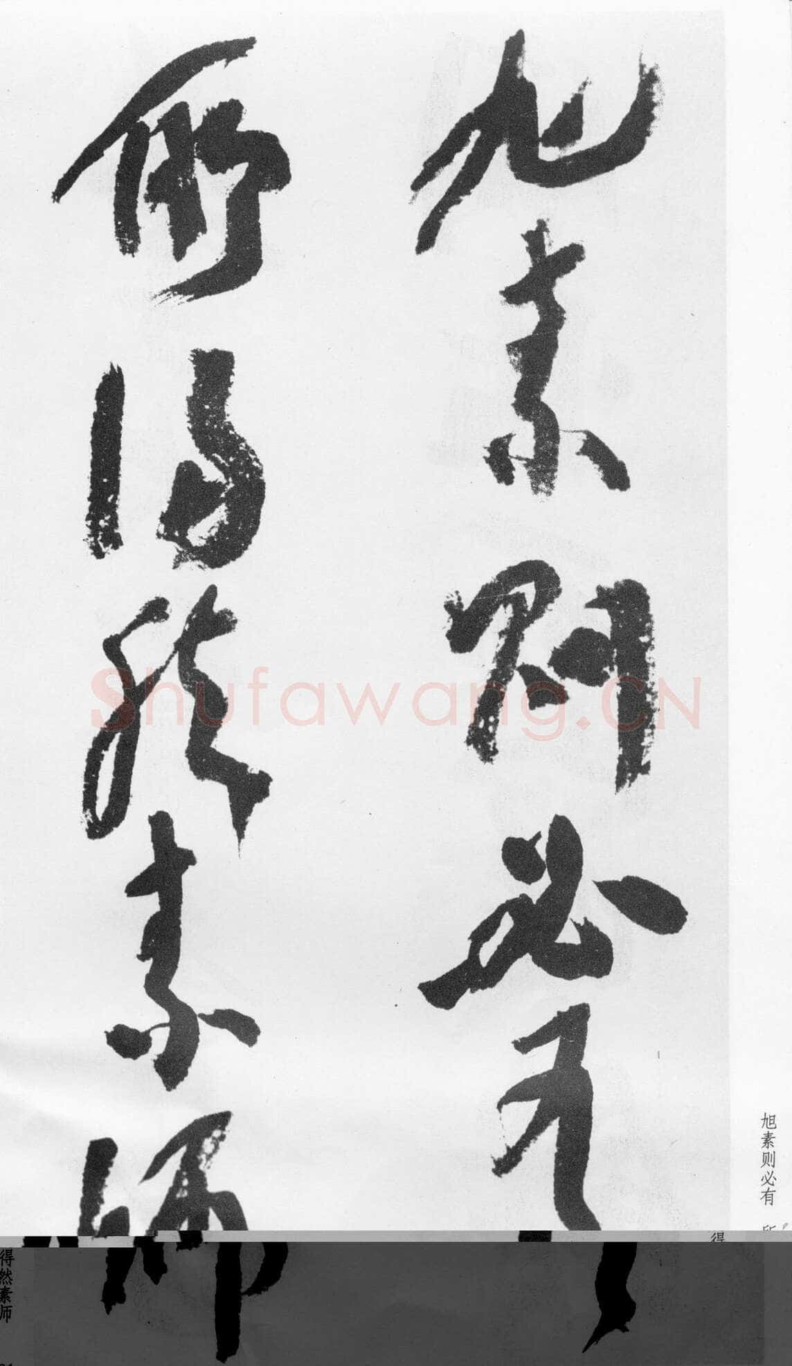 蒲华《跋张旭率意帖》