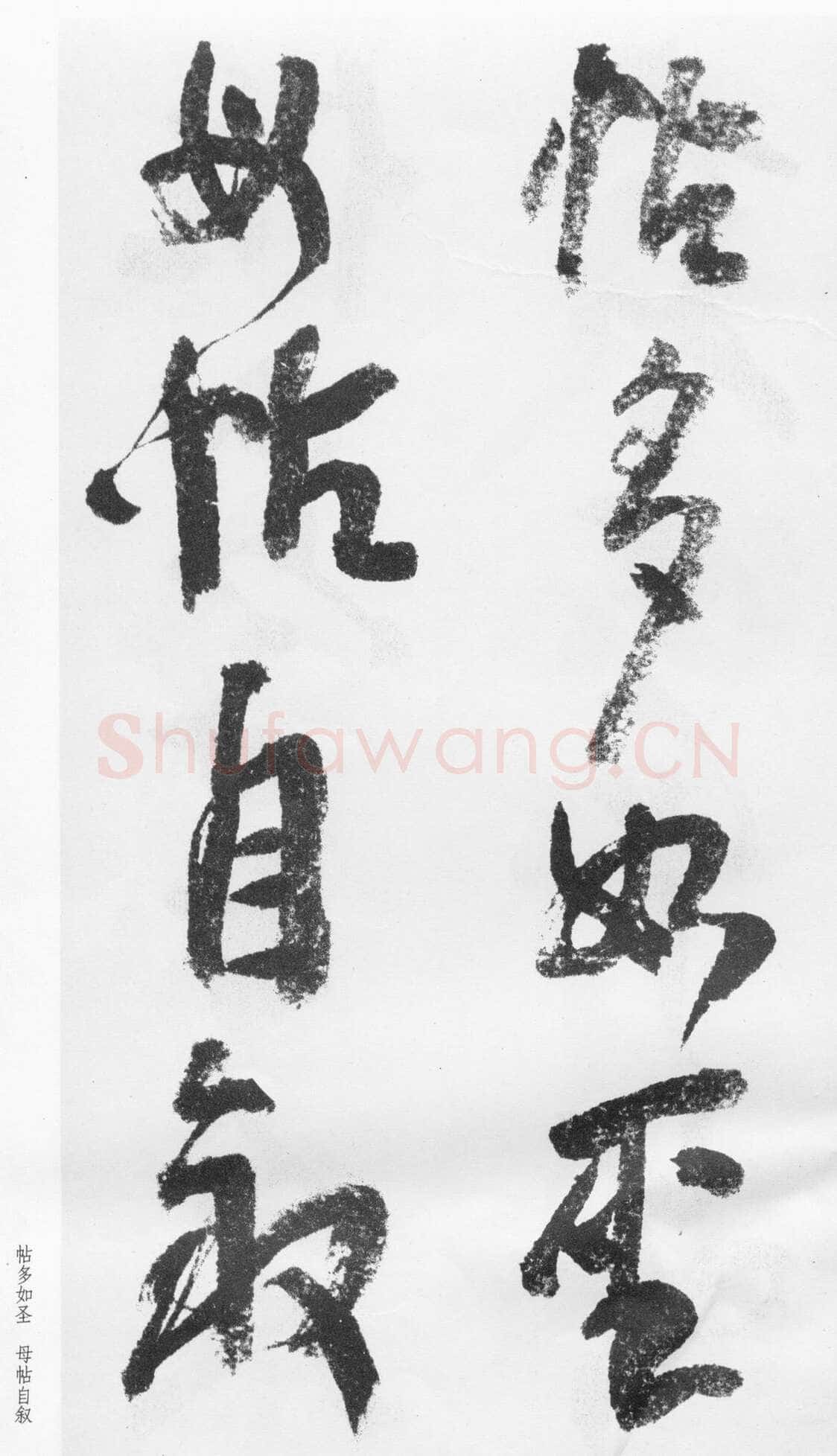 蒲华《跋张旭率意帖》
